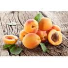 Жевательная смесь Kasta Limited Абрикос v2 (снюс) 101мг