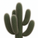 Ароматизатор Ароматик Кактус