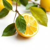 Ароматизатор Ароматик Лимон