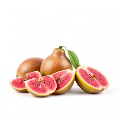 Жидкость для вейпа Gamma - Розовая гуава №14, 27мл