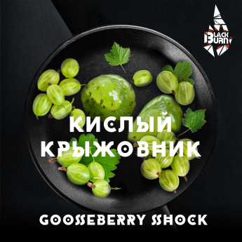 Табак для кальяна BlackBurn Кислый крыжовник