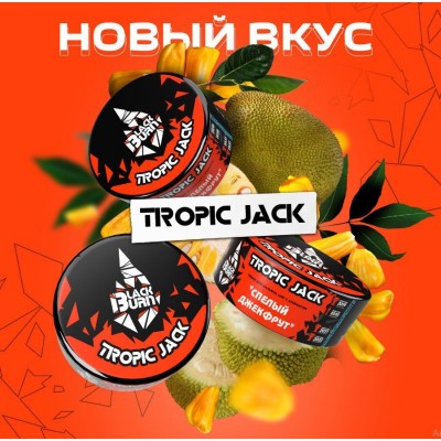 Табак для кальяна BlackBurn Спелый джекфрут