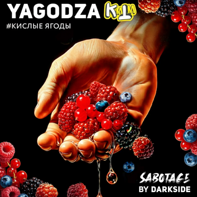 Табак для кальяна Darkside Sabotage Кислые ягоды (Yagodza)