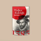 Табак курительный Walter Raleigh Малина, 40 гр
