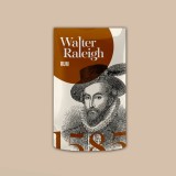 Табак курительный Walter Raleigh Ром, 40 гр